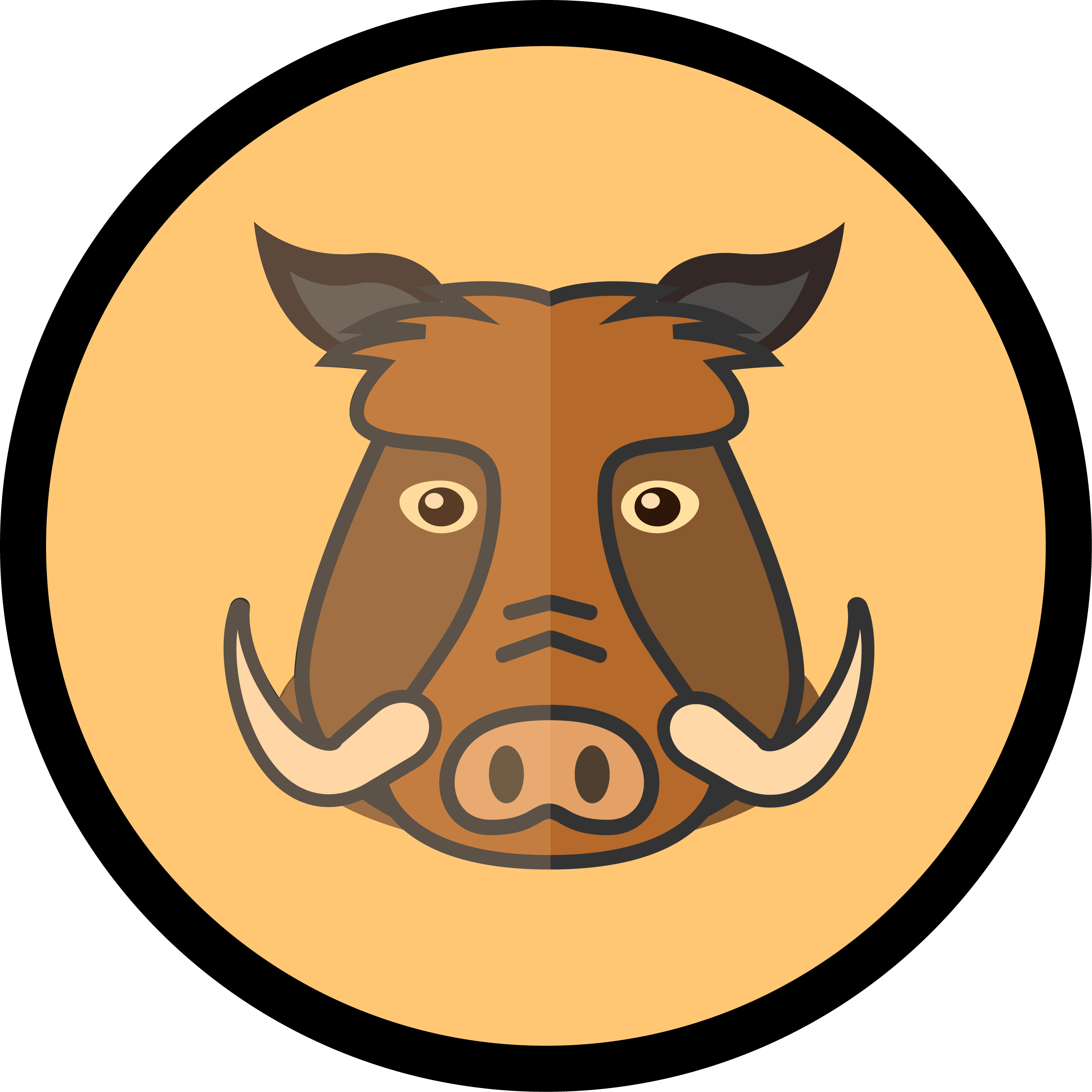icon